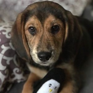 Meet your Posher, Charlene